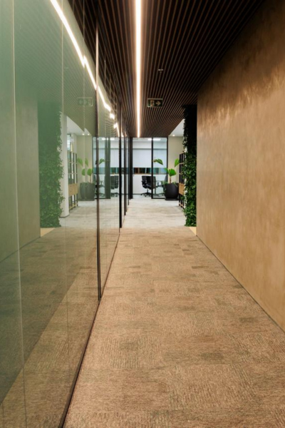 obra corporativa (2)